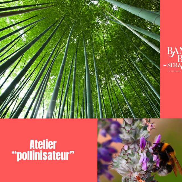 Atelier pollinisateur