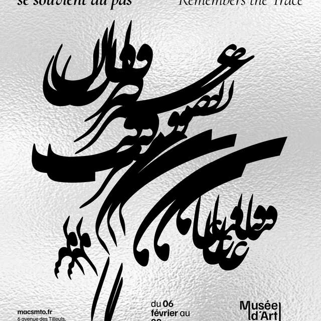 Quand le miroir se souvient du pas