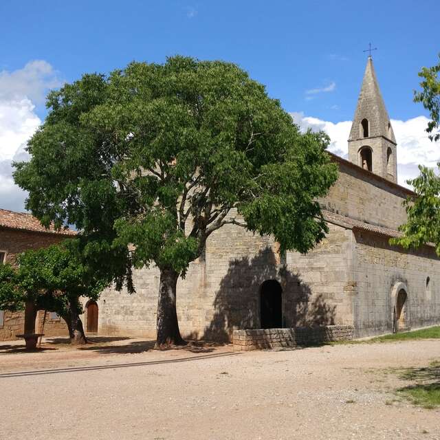 Abbaye du Thoronet, joyaux de l’architecture cistercienne