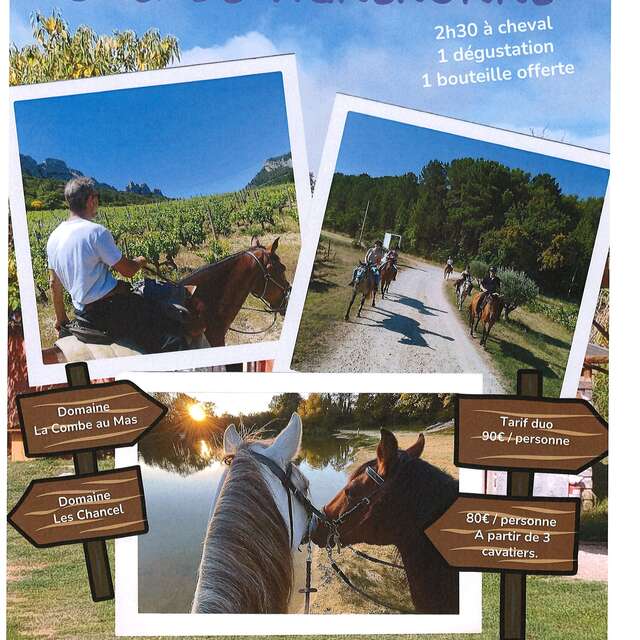 Balade vigneronne avec le Poney Rouge