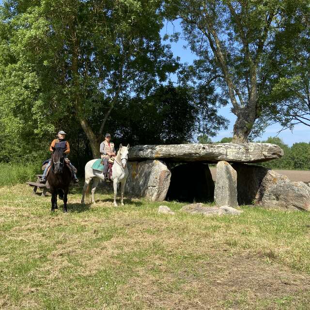 Visite du haras du chêne