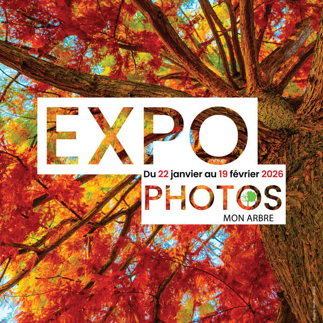 Exposition de photos : Mon arbre