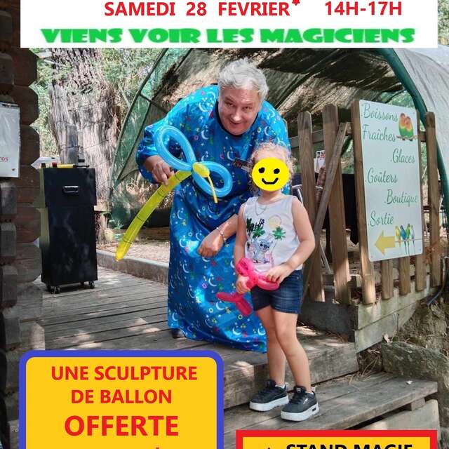 Animation - Viens voir les magiciens