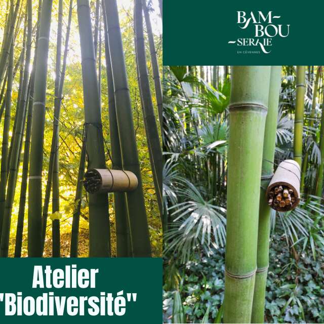 Atelier Biodiversité à la Bambouseraie en Cévennes