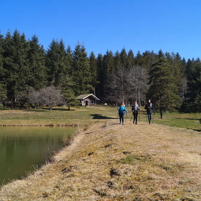 GRP® Terre de Tisseurs en Forez : Boucle La Tour Matagrin