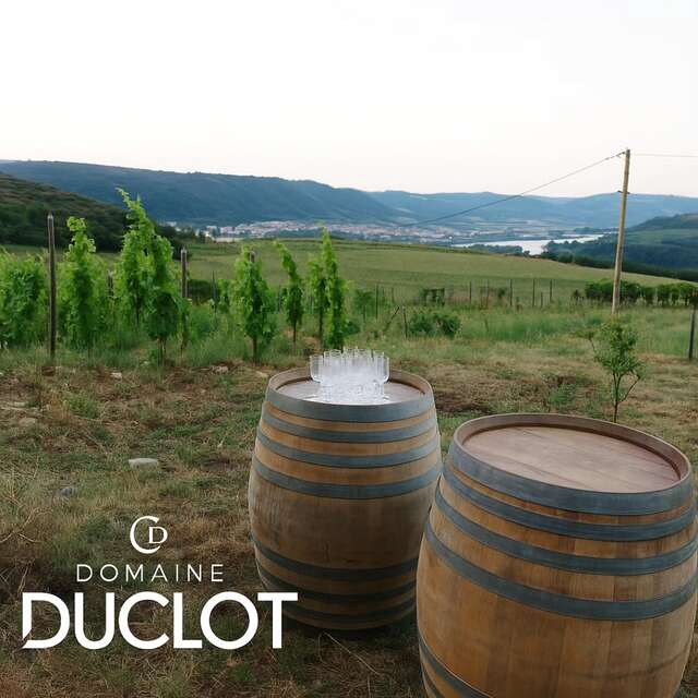 Apéro sunset dans les vignes (Domaine Duclot)