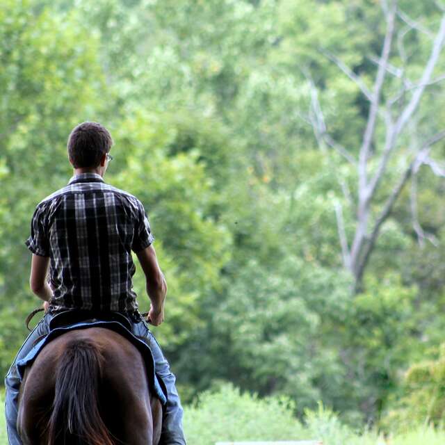 Equitation adultes-ados