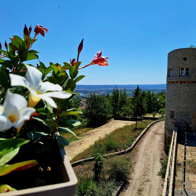Domaine de la Mautanne