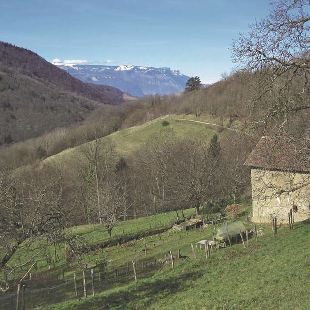 Circuit pédestre des Vignasses - 1h45 - Départ Bourg St-Martin-d'Uriage