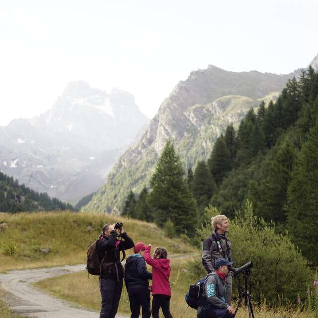 Park exit - The Ristolas Mont Viso reserve at dawn