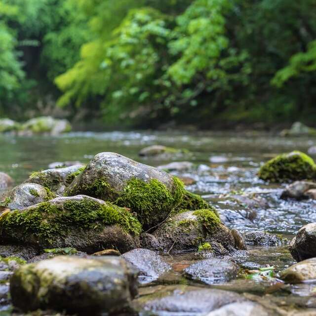 Balade Rivière - Instants Curieux