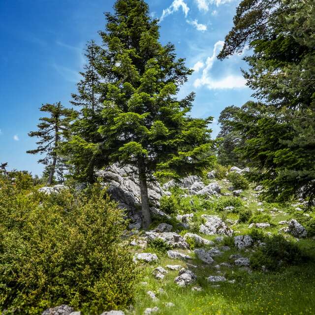 Sentier des Arts