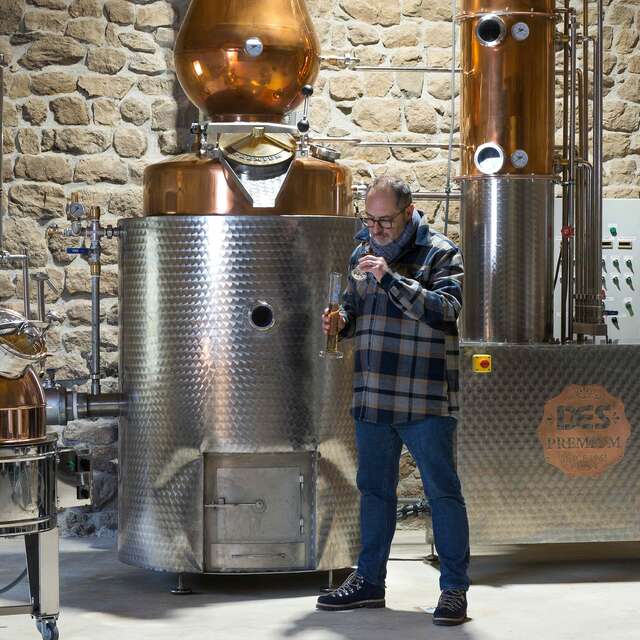 Distillerie en terre volcanique : visite et dégustation
