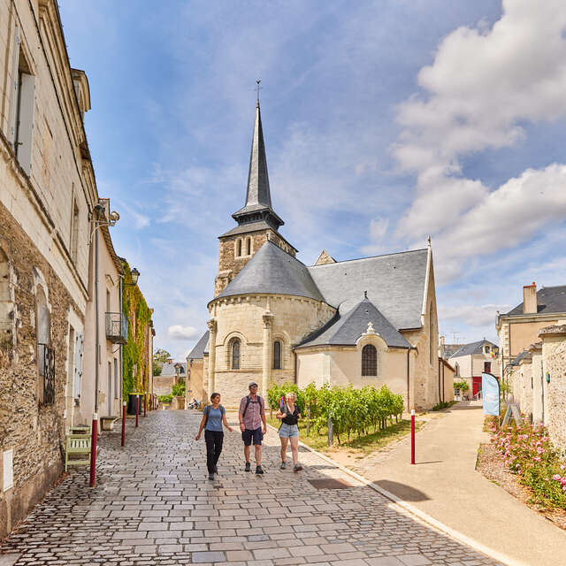 Sur les coteaux de Savennières