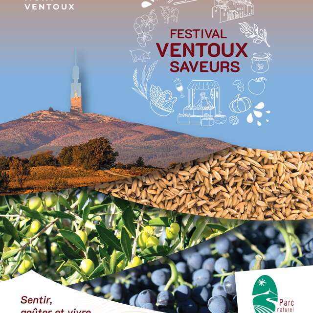Festivals „Ventoux Saveurs“ – Workshop zur Kombination von Wein und Käse bzw. Bier und Käse – Weinkeller „Les Collines“