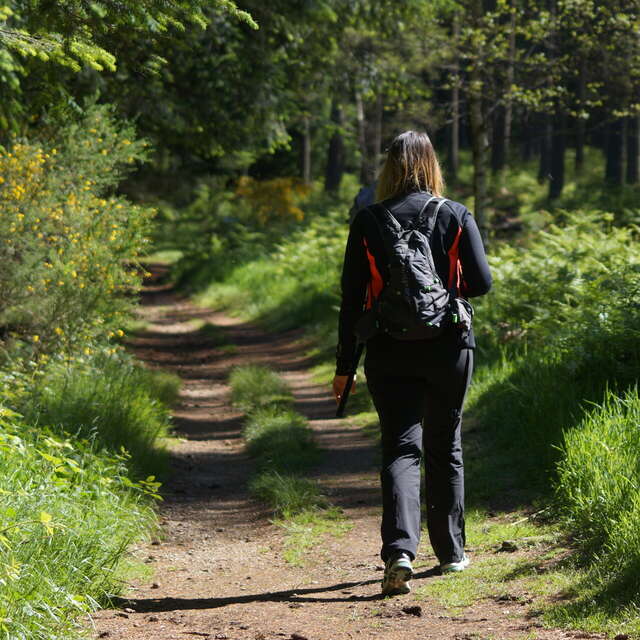 28ème Marche du Bol d'Air