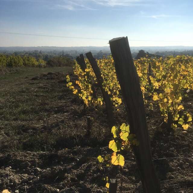 Accord Exquis en Domaine du Closel