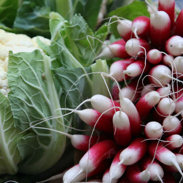 Marché de producteurs locaux