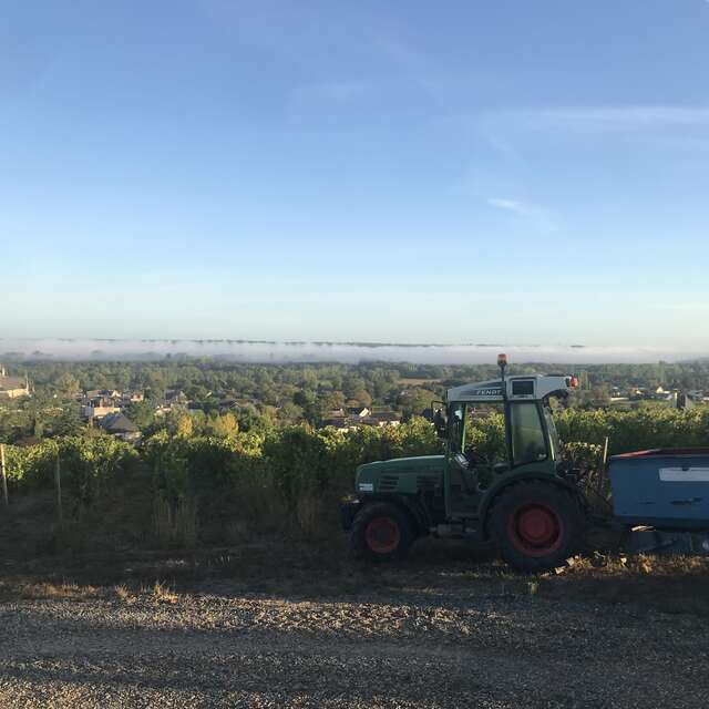 Domaine Cady