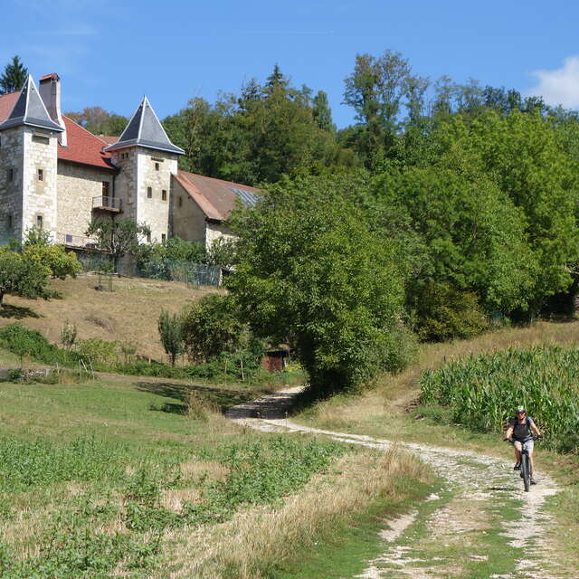 Compostelle en VTT : Genève - Le Puy