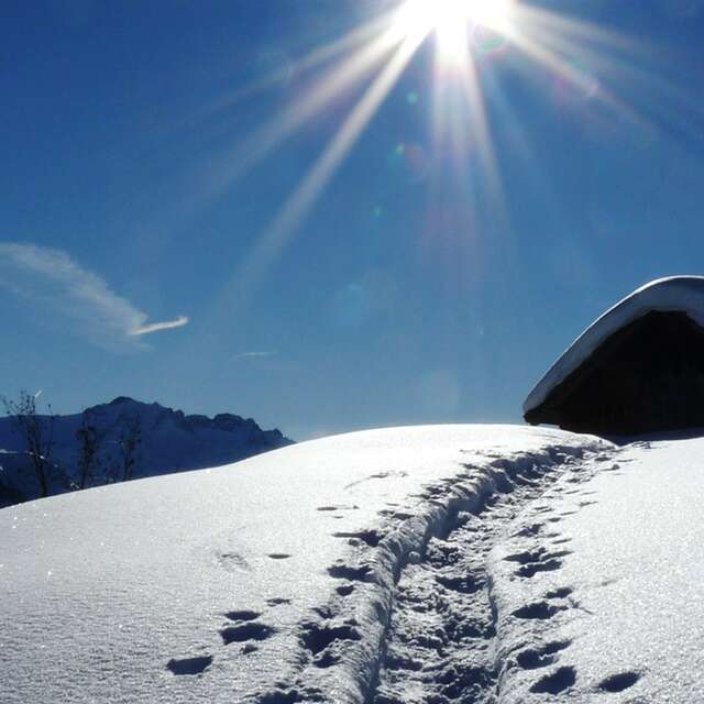 Hiking / snowshoeing / ski-hike with Anne-Marie