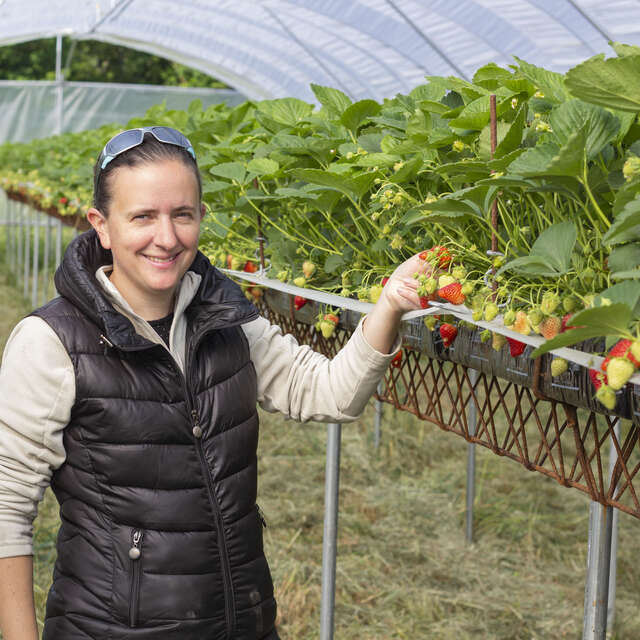 G.I.E. des producteurs de fruits rouges des Monts du Velay