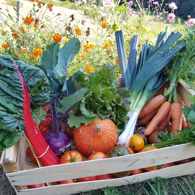 Et si les légumes vous étaient contés ?