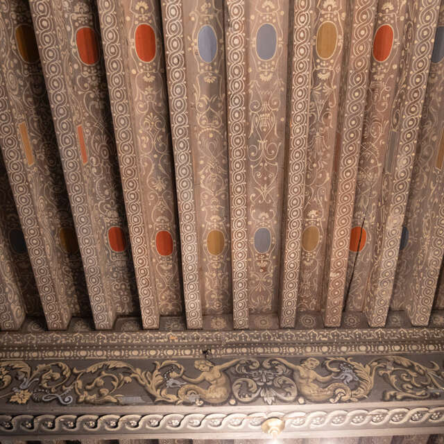 Visite thématique - Une visite qui crève le plafond