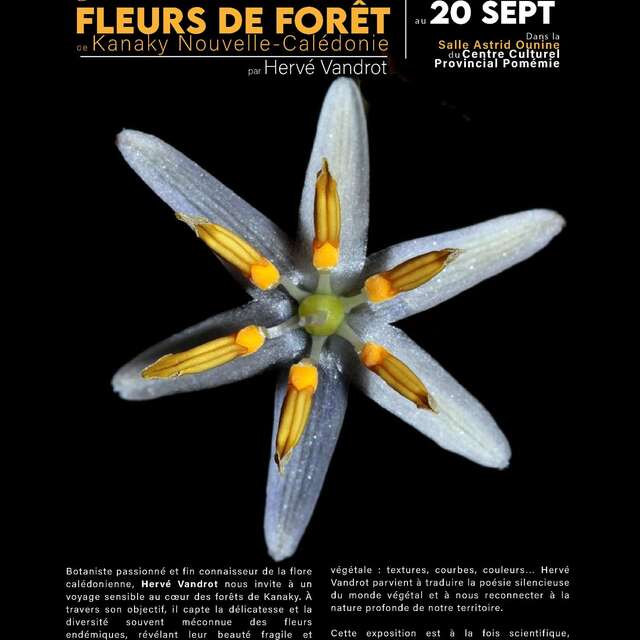 Exposition Photographique