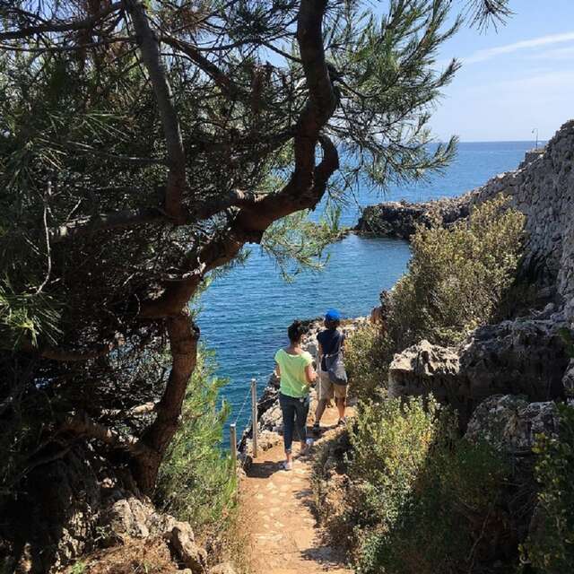 S'émerveiller devant les beautés naturelles du Cap d'Antibes!