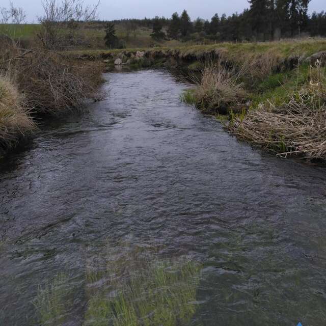 Bord de rivière