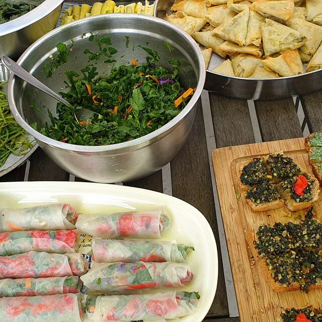 Journée découverte et utilisation des plantes sauvages comestibles et médicinales