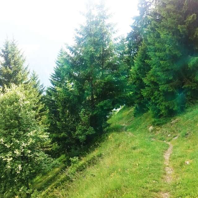 Enduro 05 (avancé) La Chaux - Shlérondes - Le Châble
