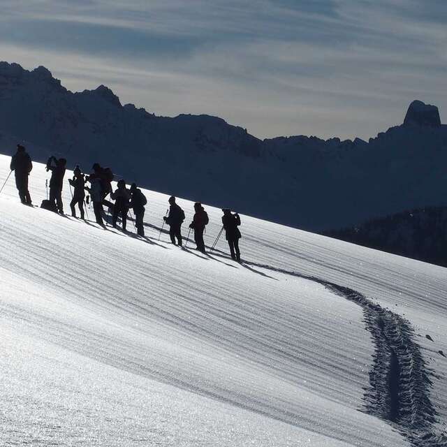 Full moon, full moon!