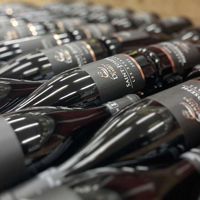Visite et dégustations vins