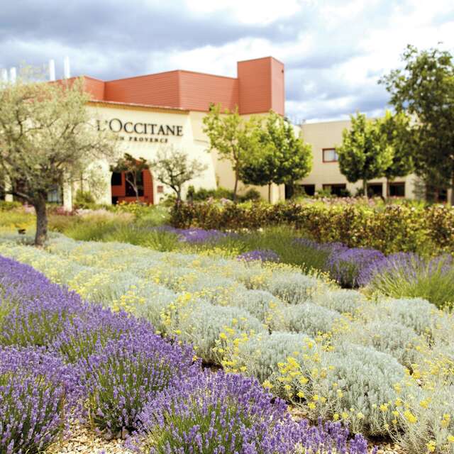 Visite guidée de L'Occitane en Provence