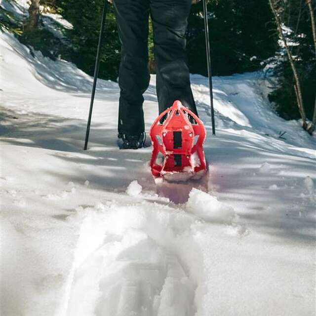 Prérond / Le Super Collet