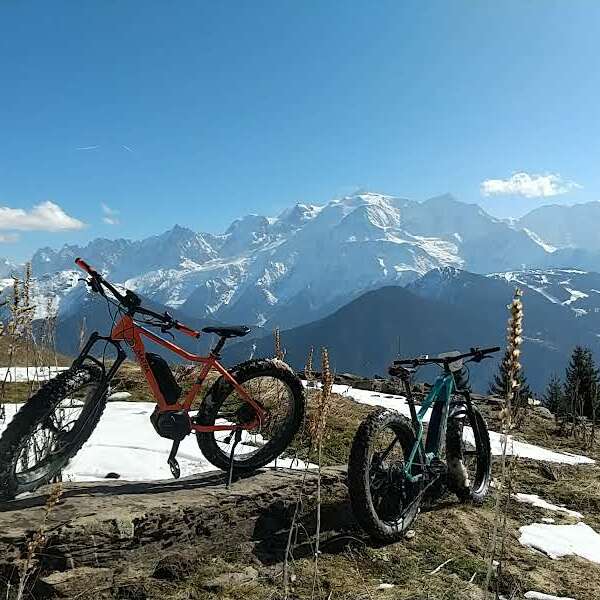 Guided mountain bike tour, AE mountain bike or electric Fatbike
