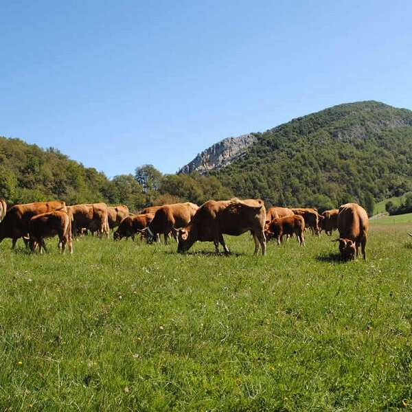 Ferme Barané