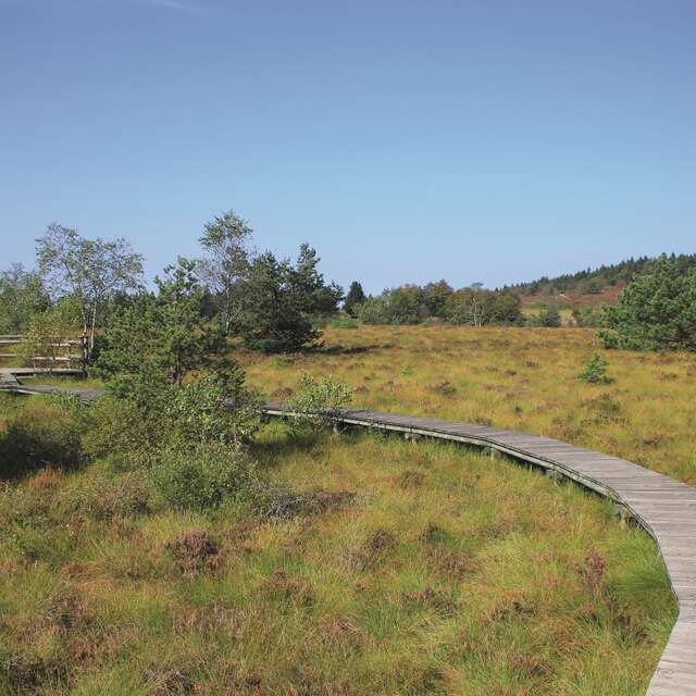 Les Tourbières du Plateau de la Verrerie