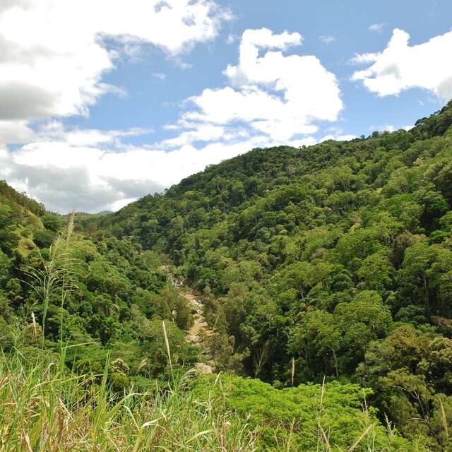 Les Gorges de Moindou