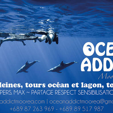 Ocean Addict Moorea - Whale watching tour