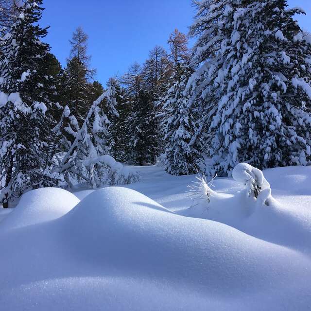 Les Chalets de Fontantie