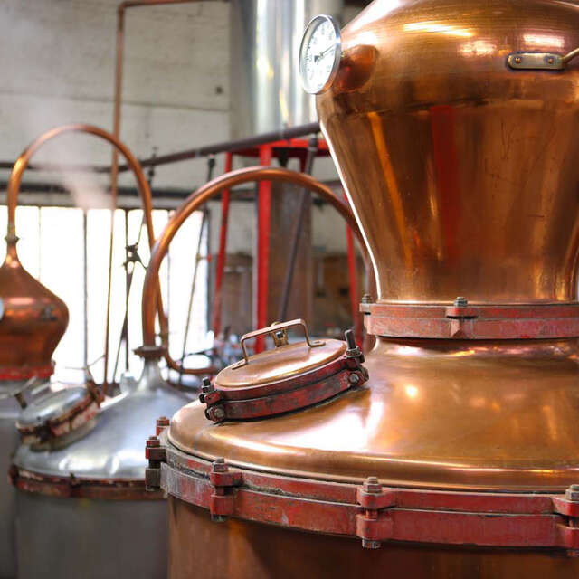 Maison Manguin - Distillerie  Artisanale