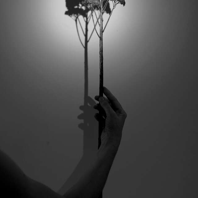 Exposition : D'eux - Marie Denis