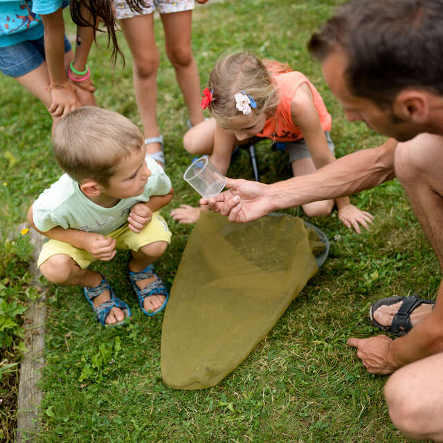 Atelier découverte des insectes