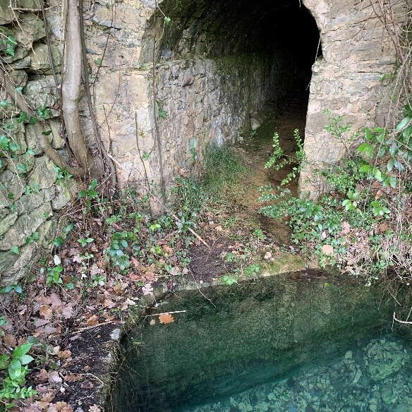 La Mine d'eau de Montaigu