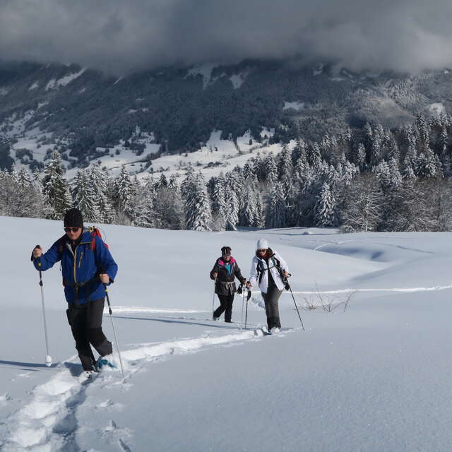 Balade raquettes dynamique La Féclaz ou Le Revard.