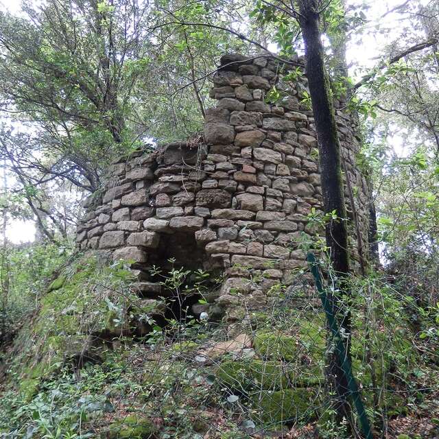 JEP 2025 : "Lire une architecture ruinée, en Cévennes