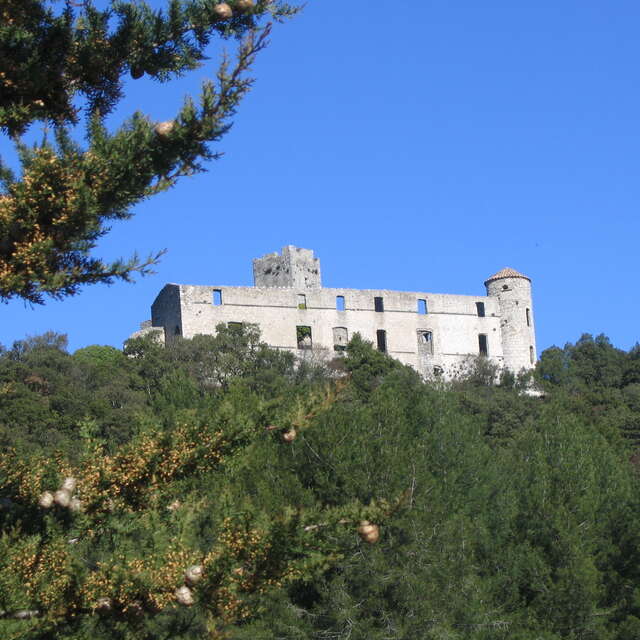 VTT - Entre Châteaux et Vignobles